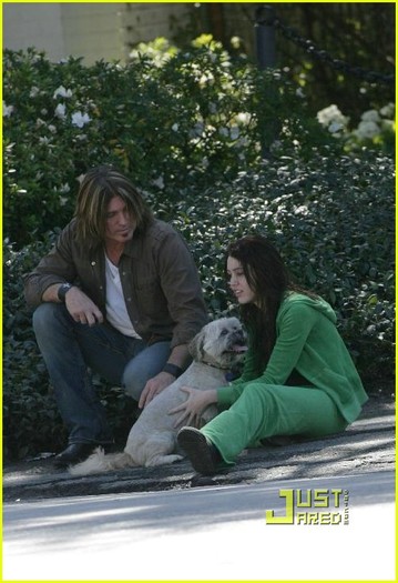 miley-cyrus-stray-dog-21