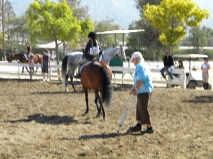 Horse Show21