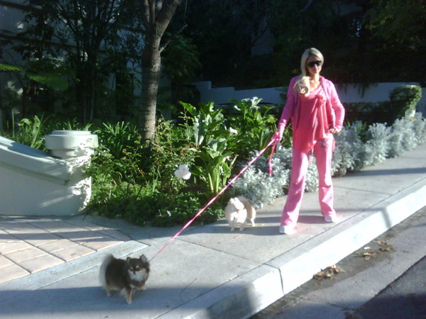 Going for a Run with my puppies - in Malibu