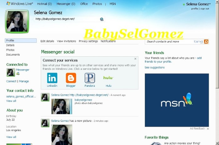 My MSN (02)