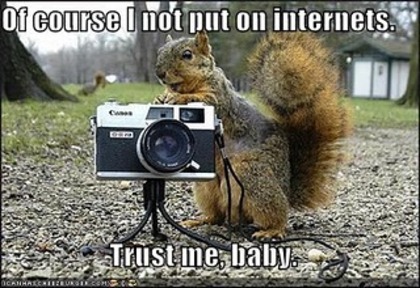 funny-pictures-creepy-squirrel-camera-park