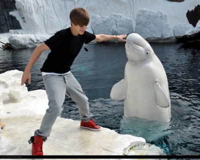 Justin Bieber in Seaworld (2)