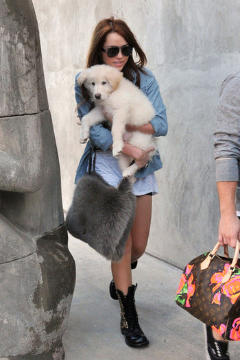 Miley+Cyrus+holds+fluffy+white+puppy+while+X8jEm8YbUWJl - West Hollywood