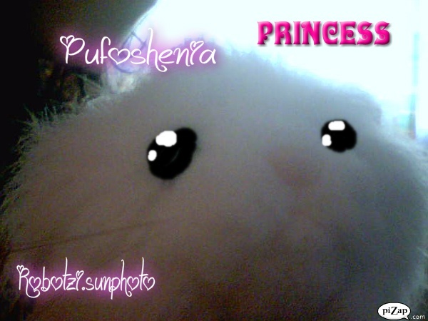 pizap.com13042488087181 - Me and Pufoshenia