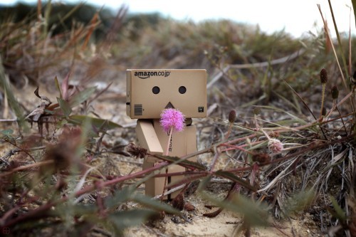 6-cute-funny-danbo-cardboard-box-art-with-flower - Danbo the box