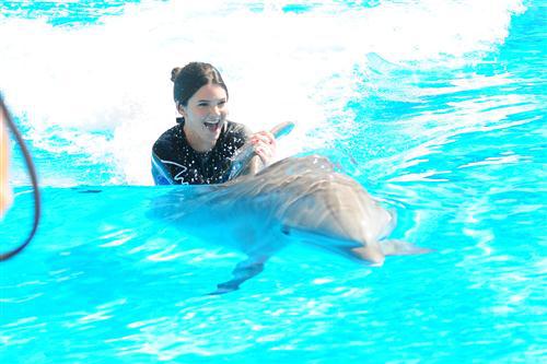 2012 5 15 2012 Dolphin Trainer For A Day 11