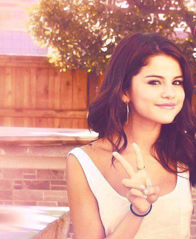 sel (23)