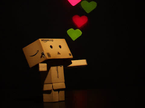 danbo10