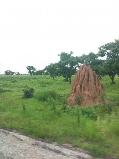 An ant hill on the side of the road. - x UNICEF Ghana trip