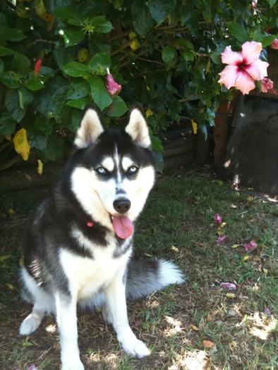 Kendra loves her new backyard!