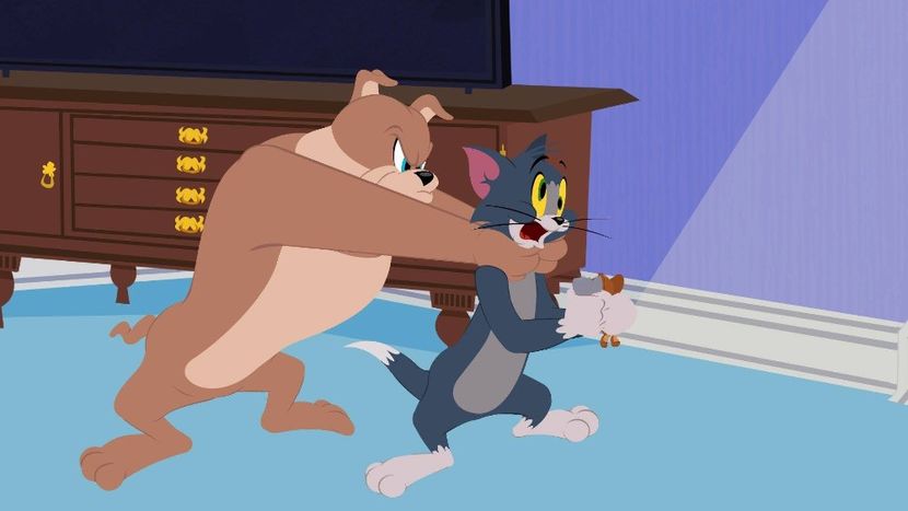 Tom si Jerry - Tom si Jerry