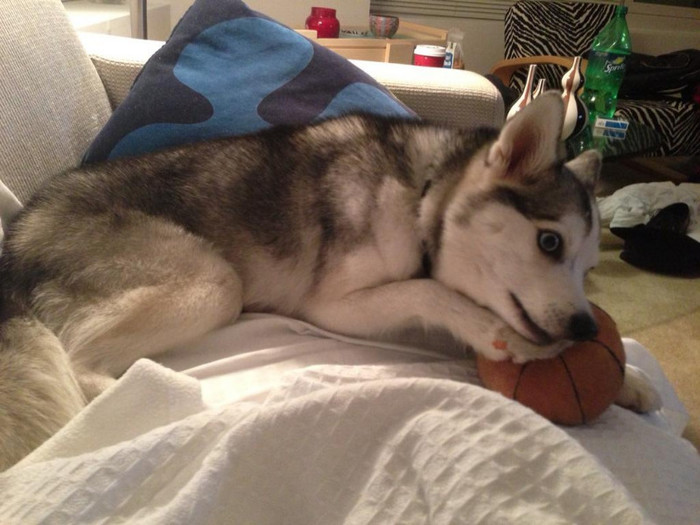 Floyd and his favorite ball