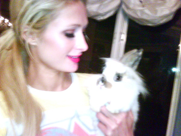 Me saying good night to my beautiful lil bunny Thumper.