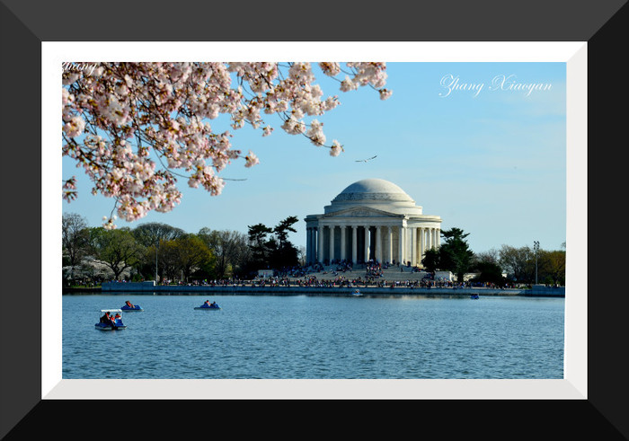 DSC_7567 - I Love Washington DC