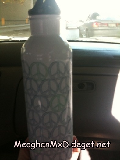Today I pledge to use my reusable water bottle instead of a plastic one!
