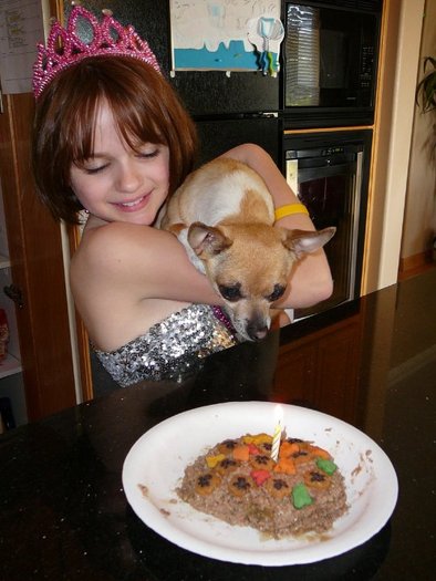 Charlie couldn't blow out the candle, but he looks like he is trying - My dog Charlies birthday