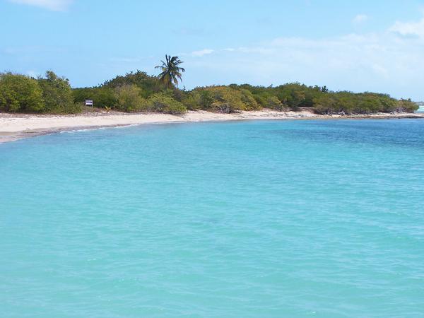 The beach where we went snorkeling. - Puerto Rico