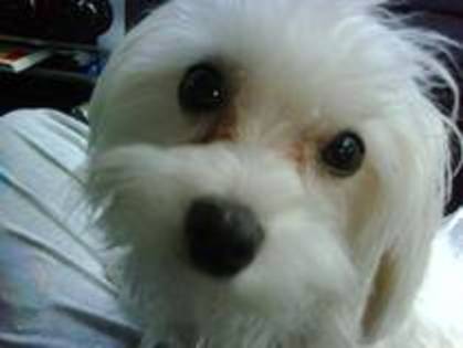 I love you bby!! - My dog