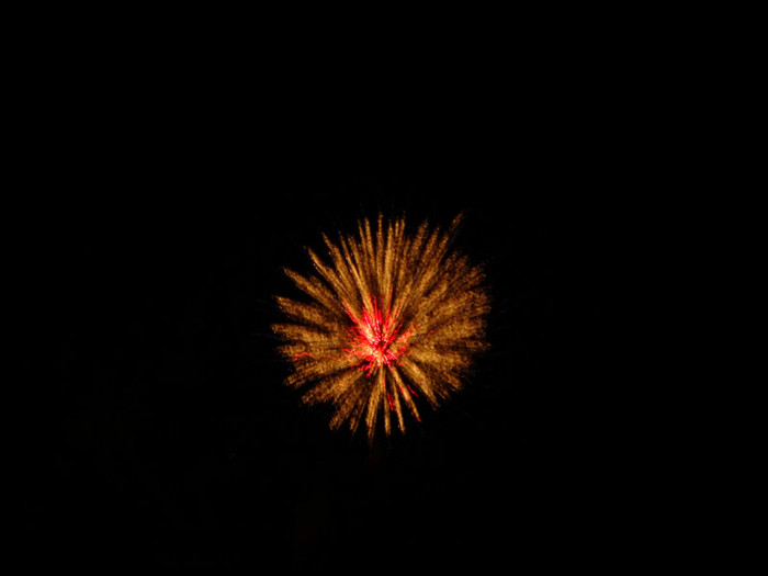 Balloon Festival and Fireworks (23)