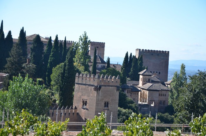 DSC_3561 - Alhambra -Granada