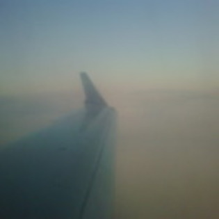 in the plane