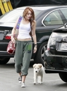  - miley and mate