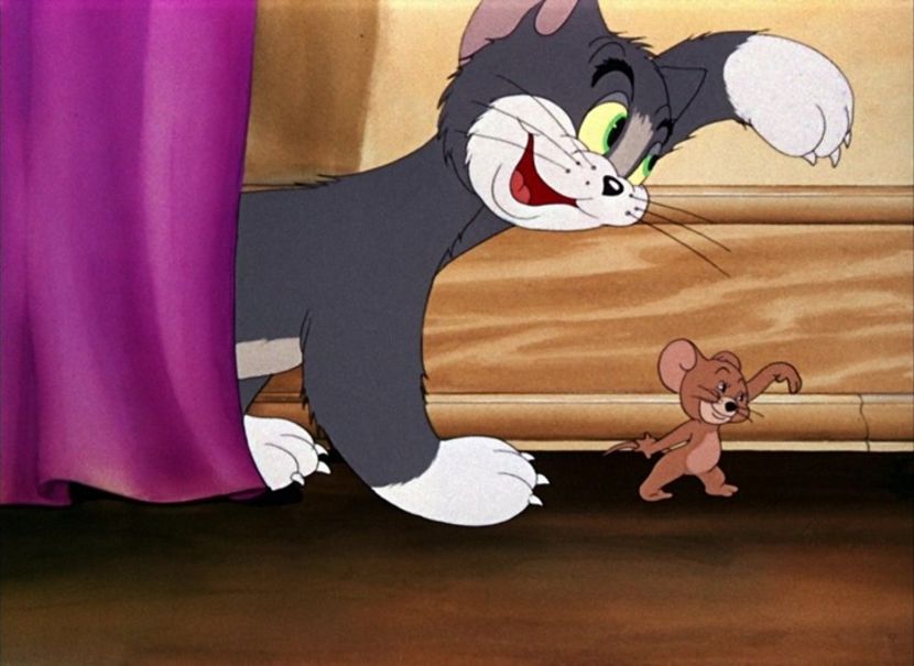 Tom si Jerry