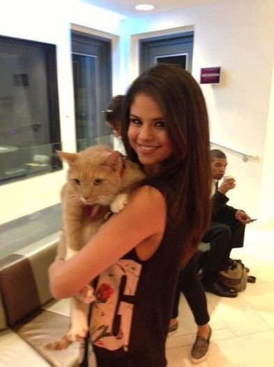 Probably the cutest cat ever! - Stars dance