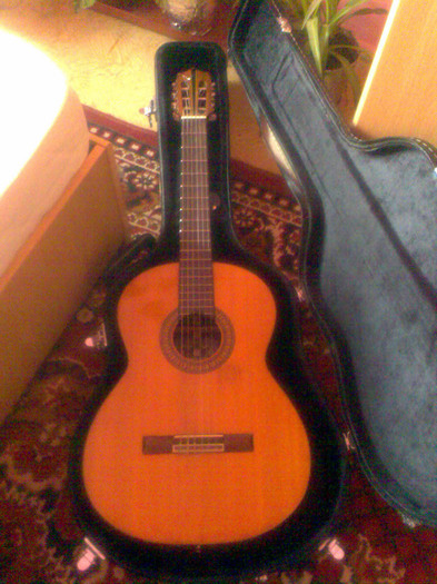the guitar
