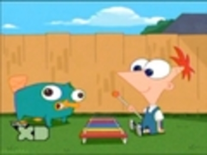 Baby-Phineas-and-Baby-Perry-phineas-and-ferb-8103699-120-90