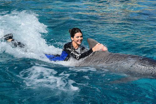 2012 5 15 2012 Dolphin Trainer For A Day 50