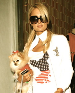 Even lil Marilyn Monroe Jr is rocking an outfit from my dog clothing line called 'Little Lily by Par