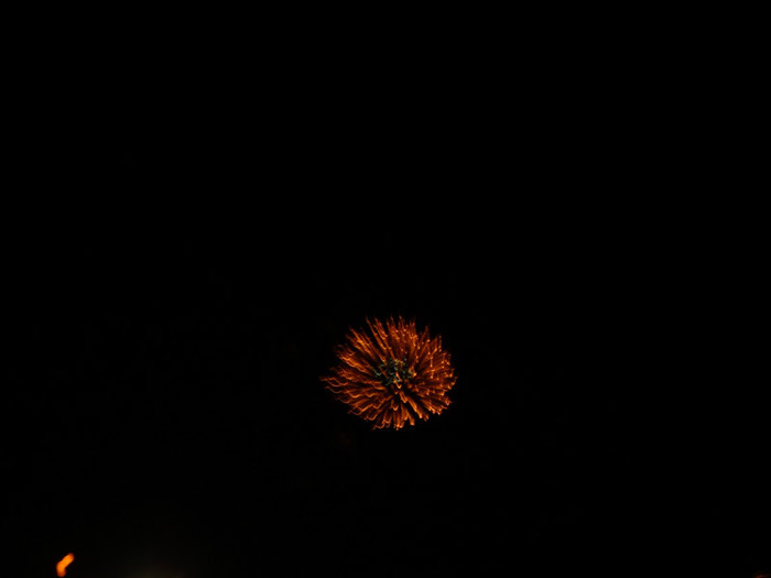 Balloon Festival and Fireworks (13)