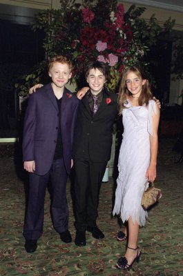 normal_d010 - Harry Potter and the Chamber of Secrets London After Party 12