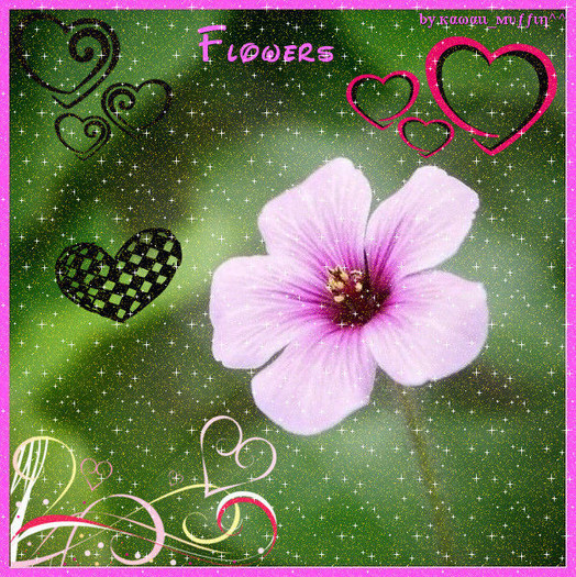 *_* FloWersSs *_*