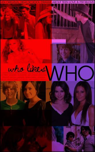 WhoLikesWho2 - demi lovato and sterling knight