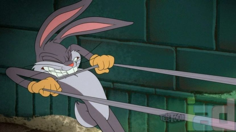 Looney Tunes - Looney Tunes