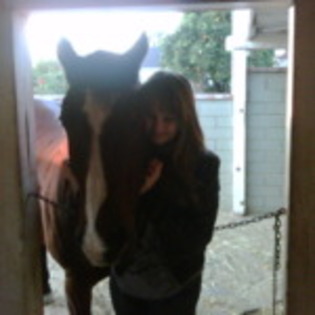 my sweet horse - PICssssss