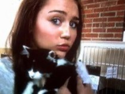 Me with a sweet cat :]