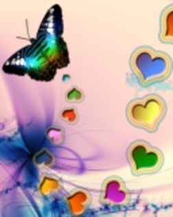 Butterfly_Love