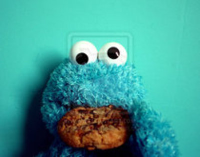 Miamiii - x -Cookie Monster