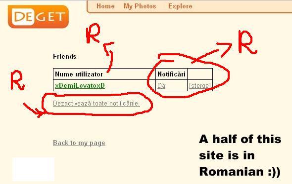 R=Romanian - Half of this site is in ROMANIAN