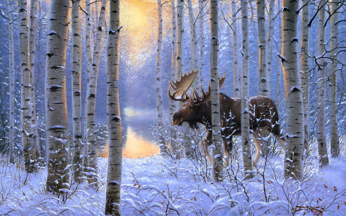 derk-hansen-on-the-move-painting-winter-snow-animals-forest-moose_2560x1600_sc