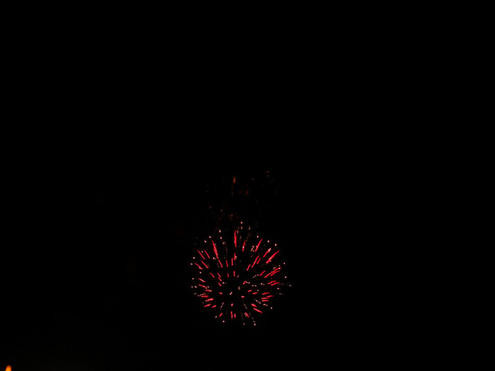 Balloon Festival and Fireworks (14)