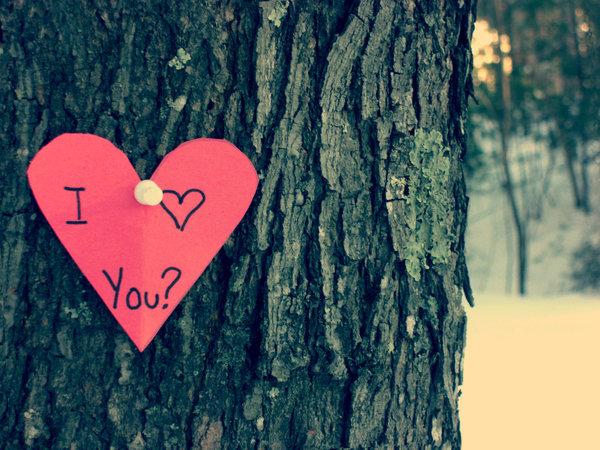 I love you tree