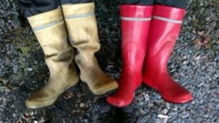 15282_smallarticle - Wellies