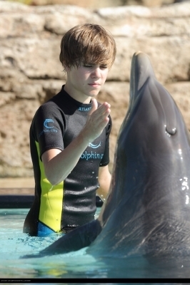 16178987_TGDHQCLHH - Justin Bieber in water with dolphin