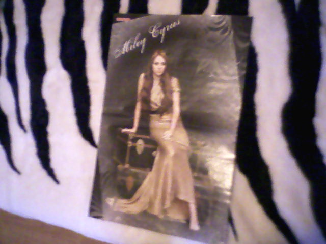 my poster wit mils (2)