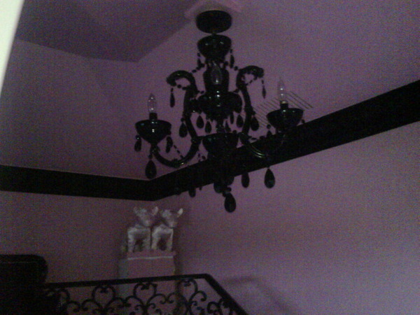 Their Beautiful Black Chandelier - Where my Puppies Live