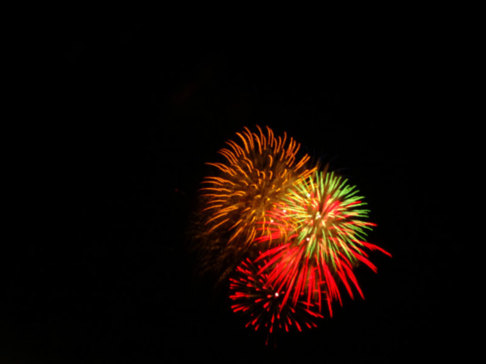 Balloon Festival and Fireworks (28)